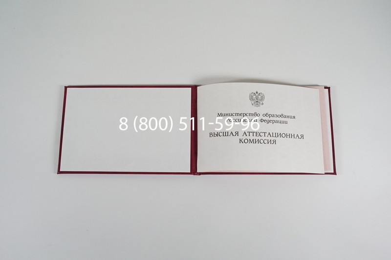Диплом доктора наук 1995-2006 года в Миассе