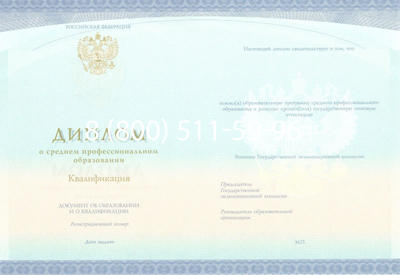 Купить Диплом колледжа (Спецбланк) 2014-2024 года в Миассе Купить Диплом колледжа (Спецбланк) 2014-2024 года в Миассе