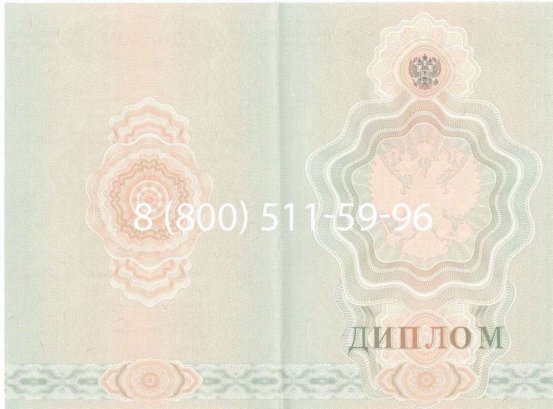 Купить Диплом училища 2007-2009 годов в Миассе